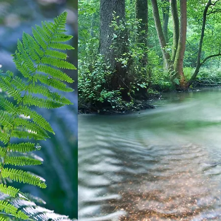 Hotel Restaurant Au Lion D'or 3*