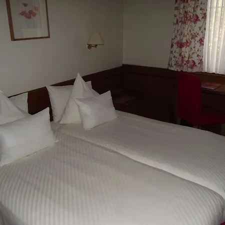 Restaurant Au Lion D'or 3*