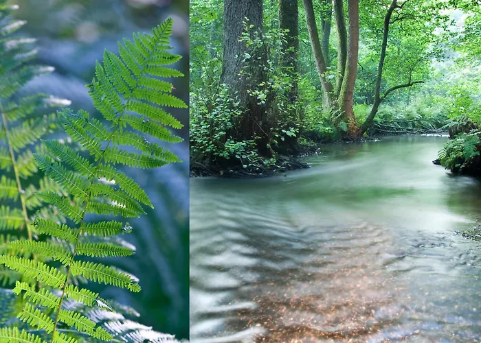 Hotel Restaurant Au Lion D'or 3*