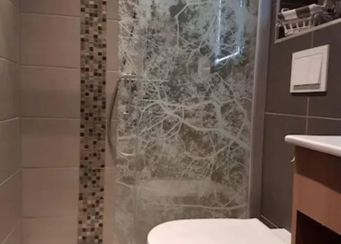 Restaurant Au Lion D'or La Petite-Pierre