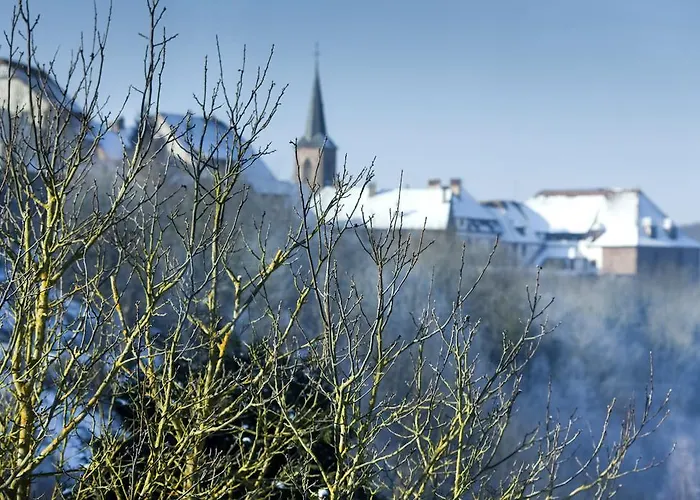 Restaurant Au Lion D'or 3*