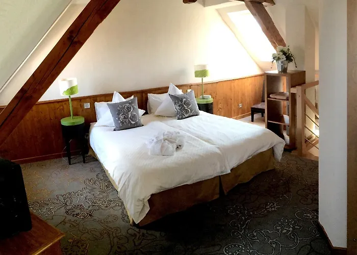 Hotel Restaurant Au Lion D'or 3*