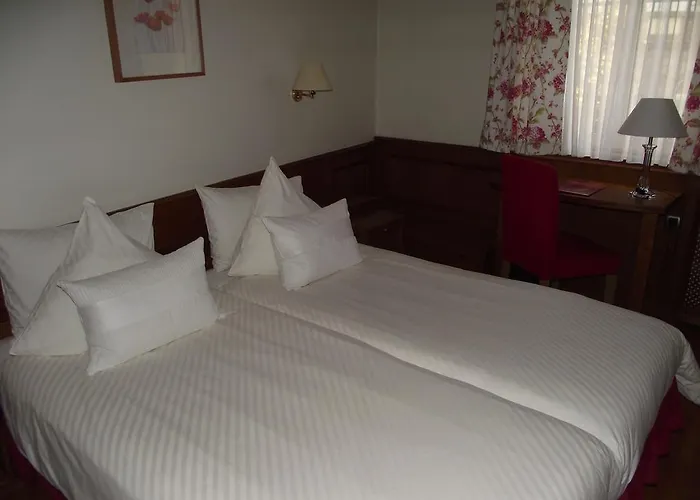 Restaurant Au Lion D'or 3*